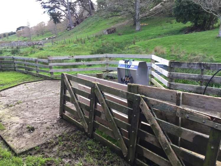 297 Kaitawa Road Pahiatua_15