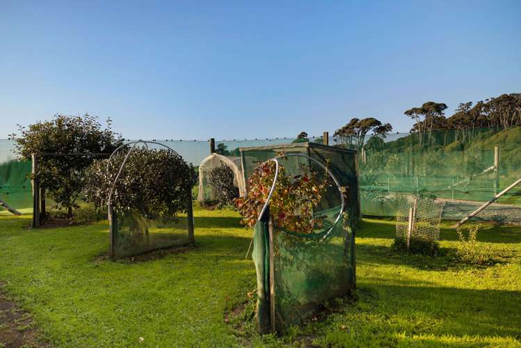 4/11294 State Highway Haast_26