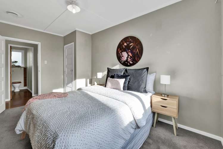 18 Drake Street Vogeltown_17