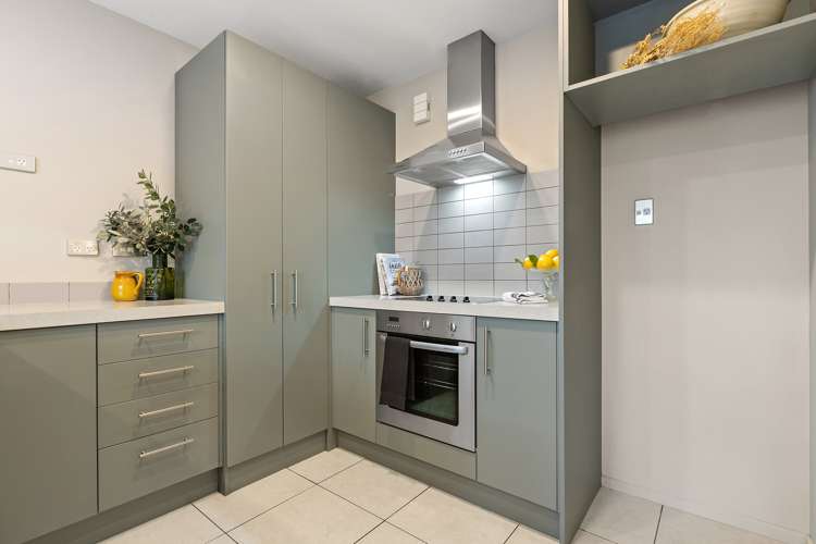 43 Walton Street Sydenham_8