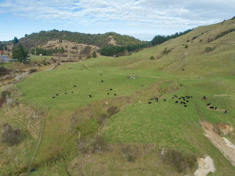 State Highway 4 Owhango_7