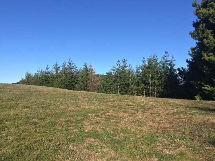 11 Glenaray Crescent Wanaka_1