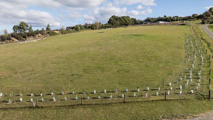 Lots 2-3 Pine Hill Road Mapua_10