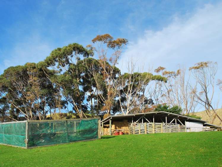 373 Lees Pakaraka Road Te Whiti_21