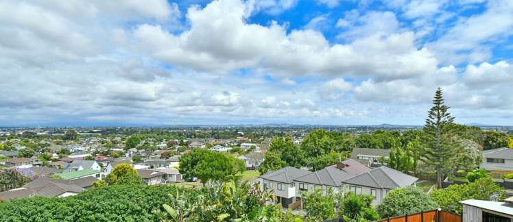 22 Hollyford Drive Clover Park_2