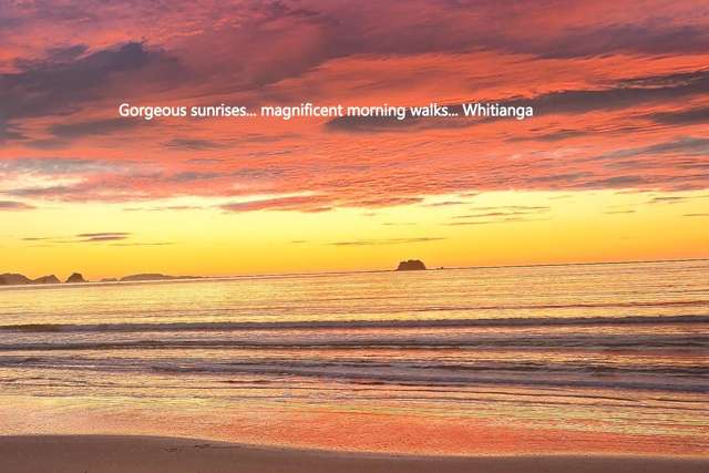 6 Onerere Drive Whitianga_2