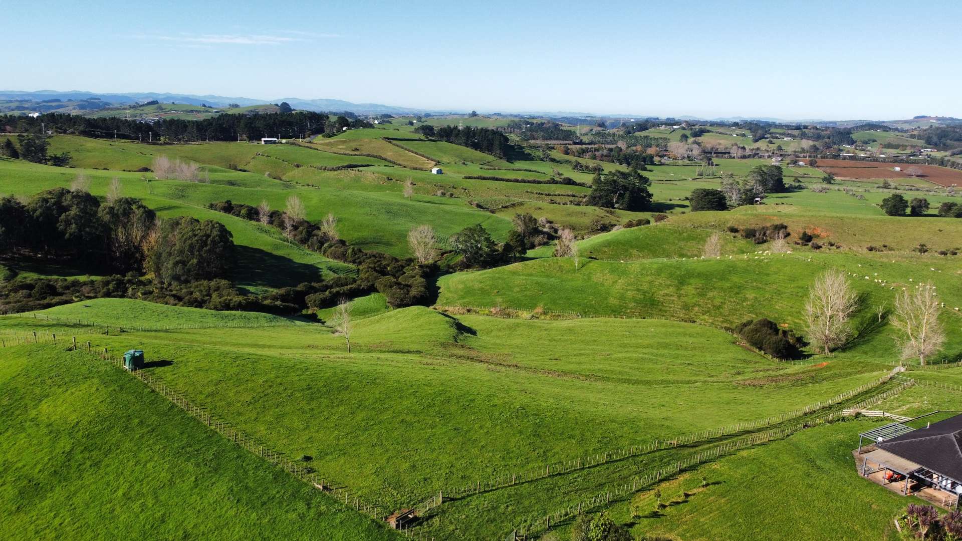 336 Dominion Road Tuakau_0