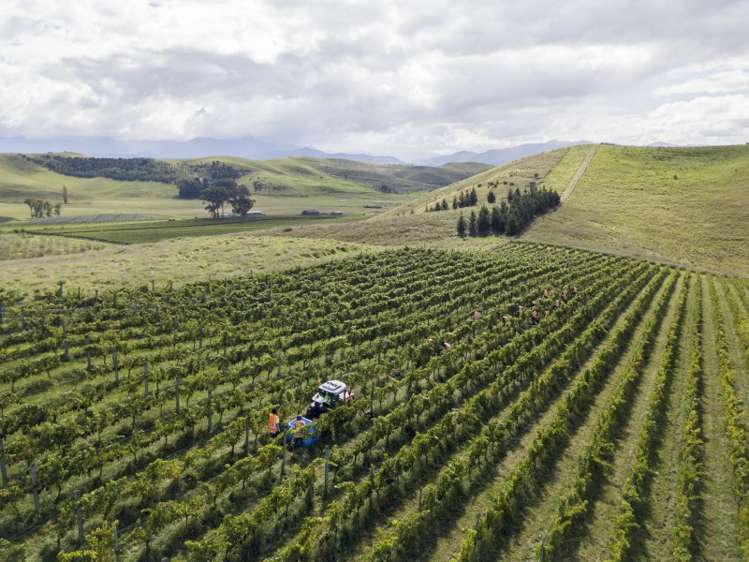 149 Wrekin Road Fairhall_10