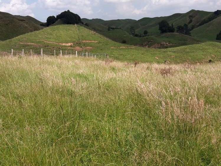 446 Stanley Road Te Popo_37