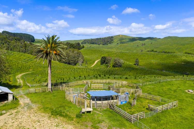 83 Kerr Road Glen Murray_13