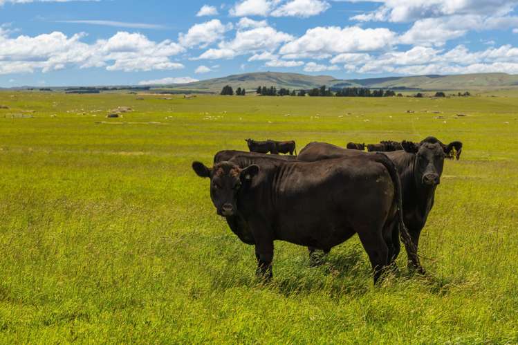 Address withheld Middlemarch_27