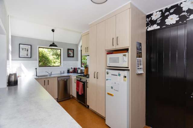 46a Tamar Street South Hill_1