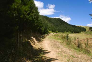 1/461 Otamarakau Valley Road_2