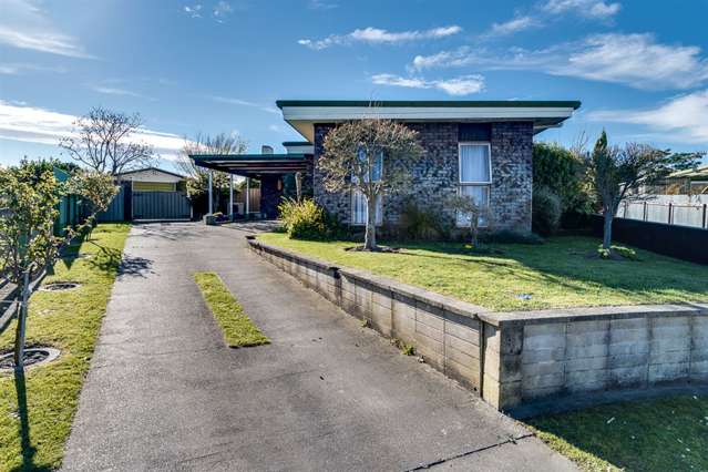 12 Norrie Place Tamatea_1