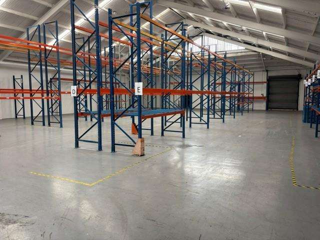 105 Wordsworth Street Sydenham_2