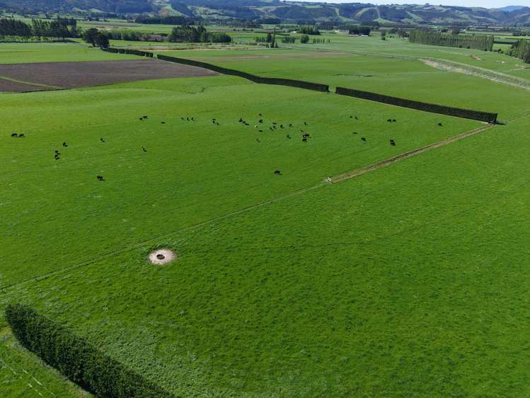 35 Maungatua Road Taieri Plain_14