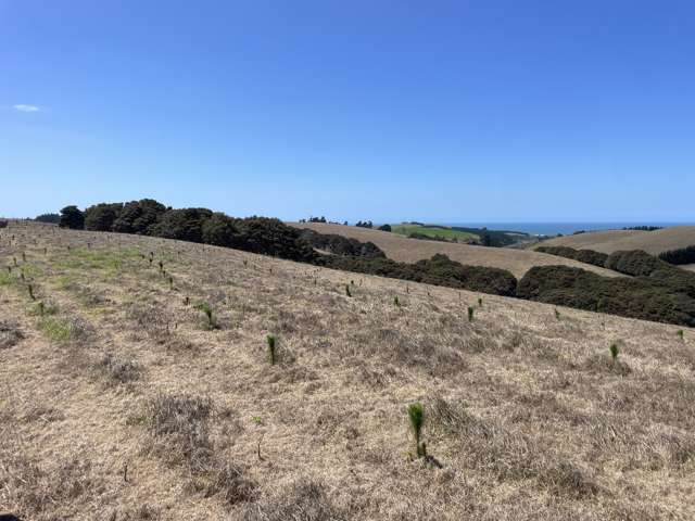 Toko Mouth Road Toko Mouth_2