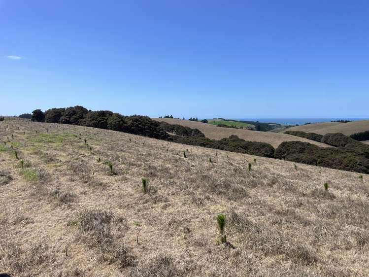 Toko Mouth Road Toko Mouth_2