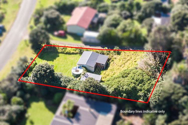 270 Bethells Road Bethells Beach_8