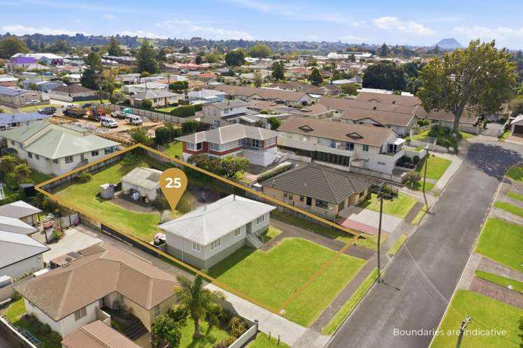 25 Mitchell Street Greerton_3