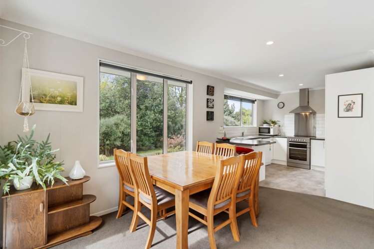 32b Punga Punga Road Pukekawa_31