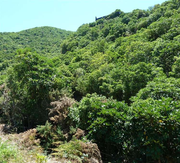 31 Marina Drive Waikawa_8