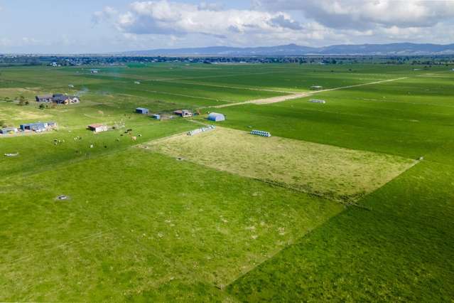 293 River Road Ngatea_1