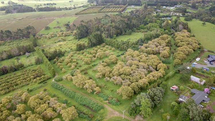 405 Tara Road Mangawhai_1