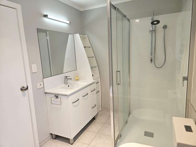 1395 No 3 Road Te Puke_9