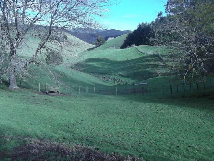 354 Hikumutu Road Taumarunui_27