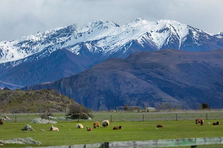 182 Stevenson Road Wanaka_35