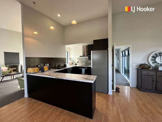 213 Somerville Street Shiel Hill_3