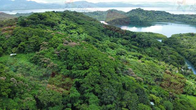 Address withheld Savusavu_2