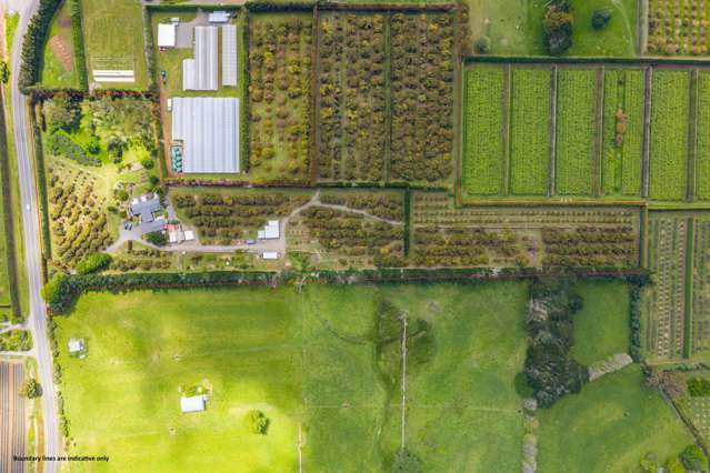 1611 State Highway 14 Maungatapere_2