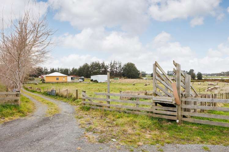 1407A Wellington Road Marton_4