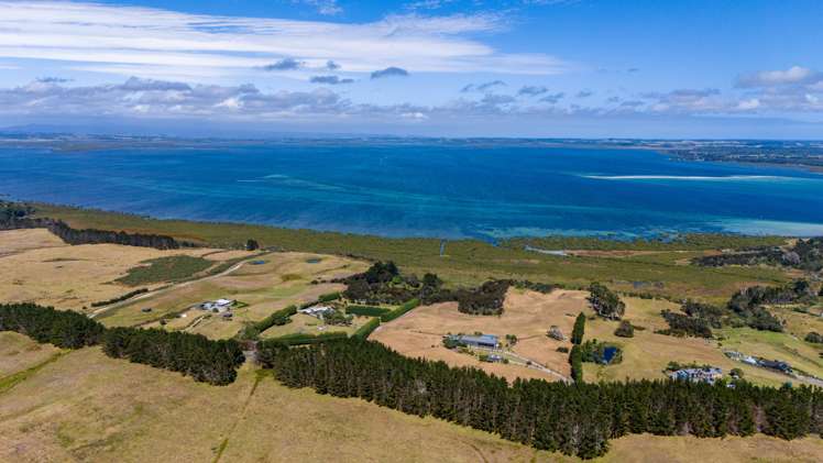 353 Rangiputa Road Karikari Peninsula_58