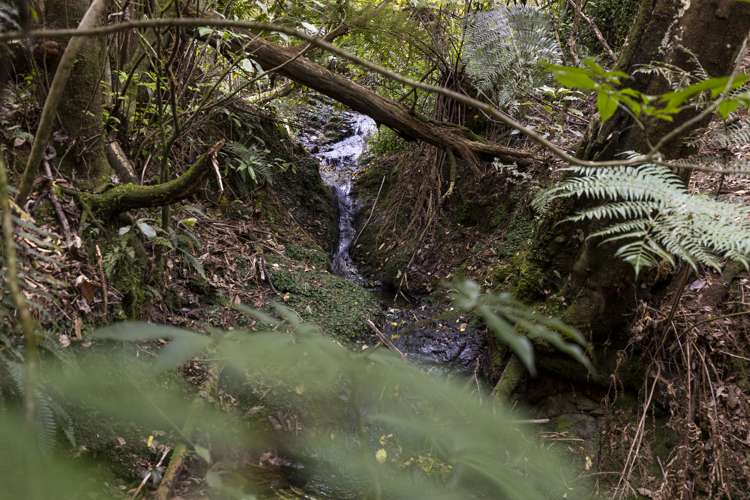 920 Wakamarina Road Havelock_37