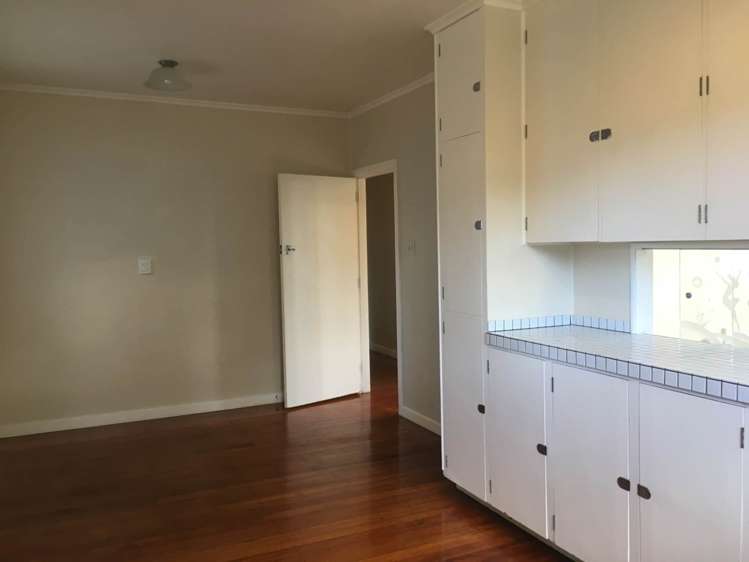 183 Campbell Road Greenlane_5