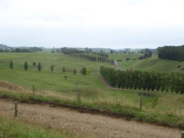 411 Waotu Road Putaruru_9