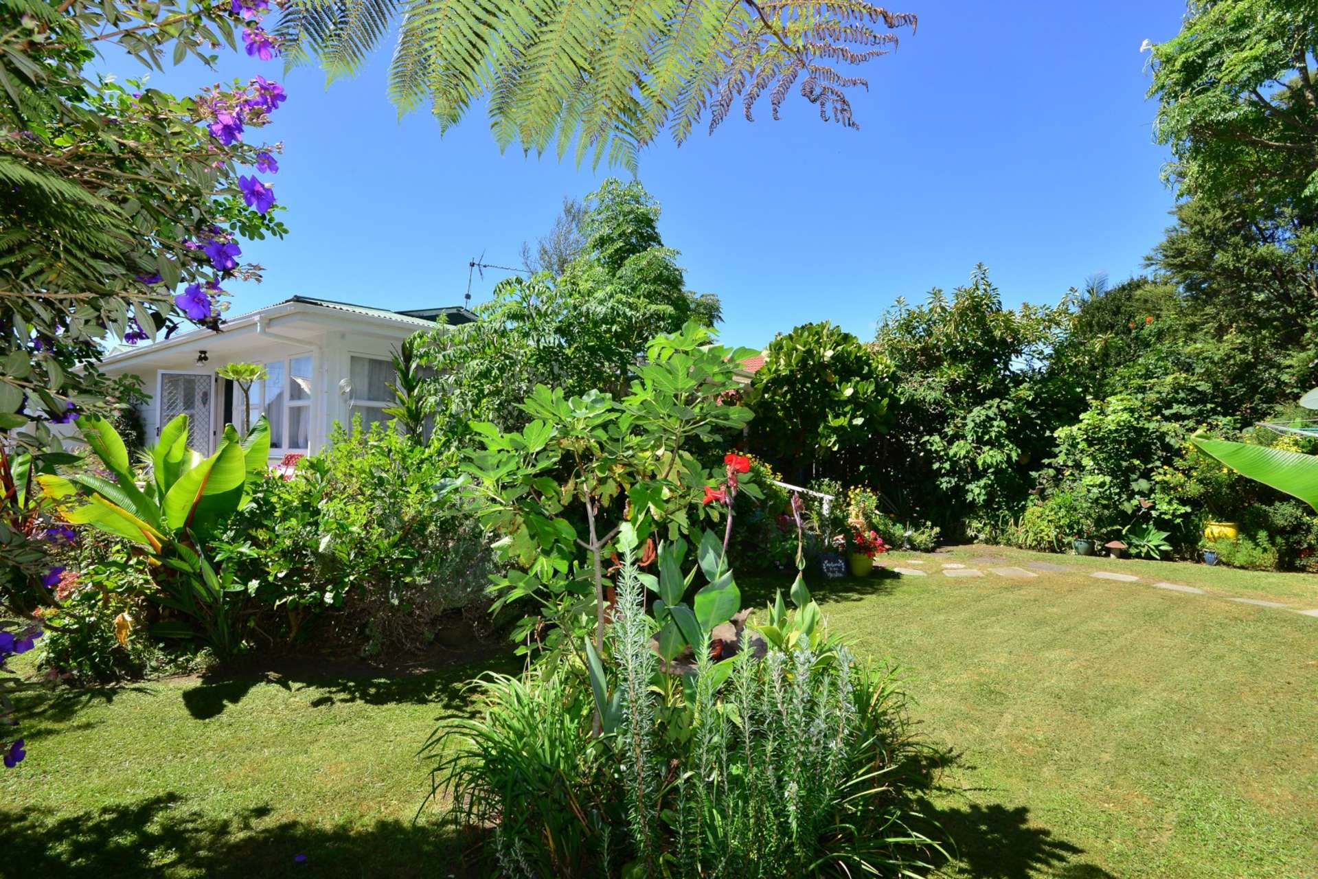 2/50 Hatton Road Orewa_0