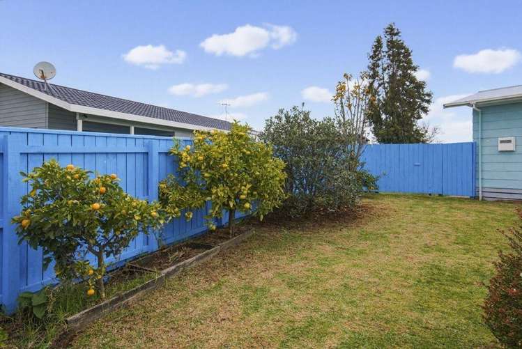  23 Douglas Street Levin_19