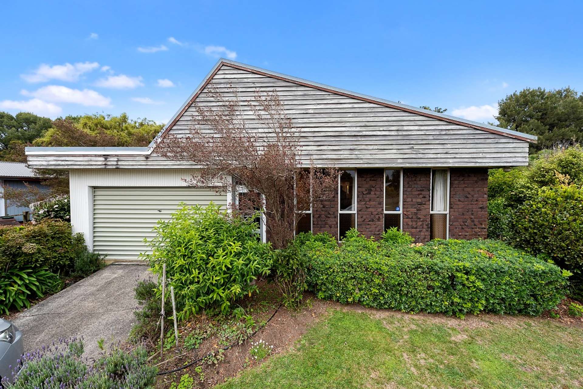 27 Hibiscus Avenue Hamilton Lake_0