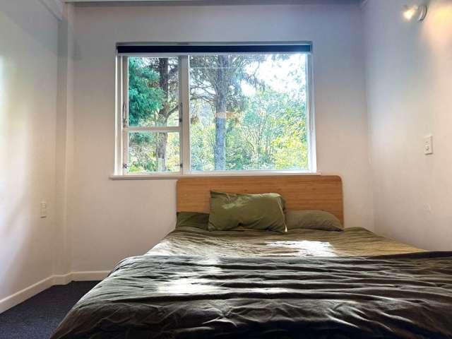 6/146 Glenmore Street Kelburn_3