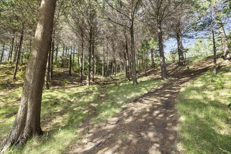 61 Spikes Way Whitianga_28