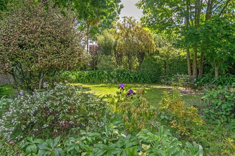 3 Glenhill Drive Witherlea_19