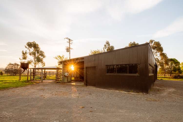 201 New Renwick Road Burleigh_33