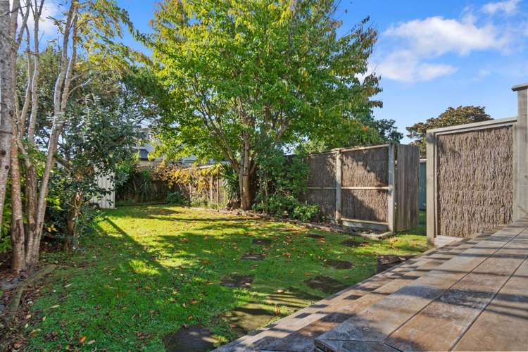 17 Wiremu Street Mt Eden_13