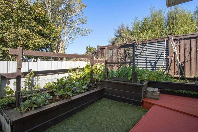 24a Mackay Street Waihi_22