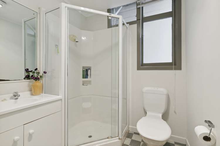 66 Elizabeth Street Mount Victoria_13