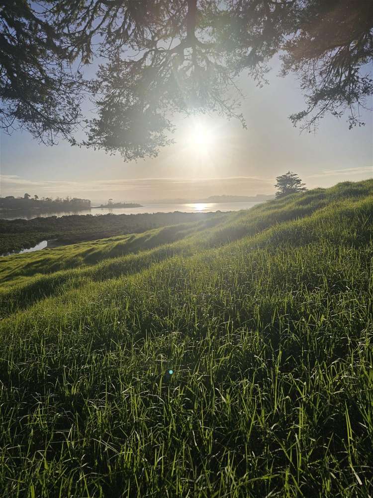 47 Matahehe Lane Tinopai_10